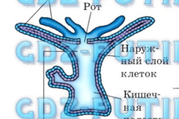 Кракен сайт ссылка kr2web in