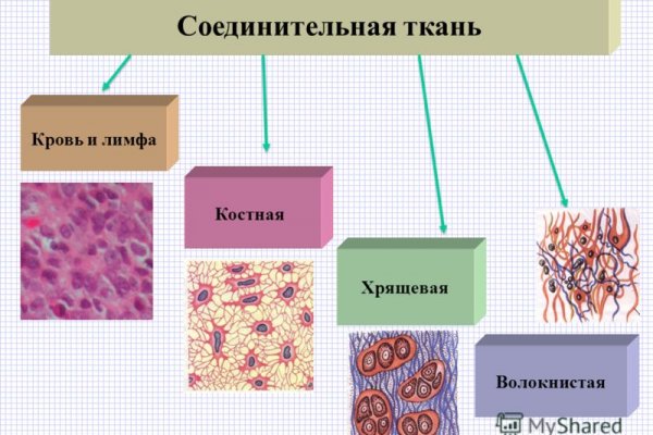 Kraken в россии